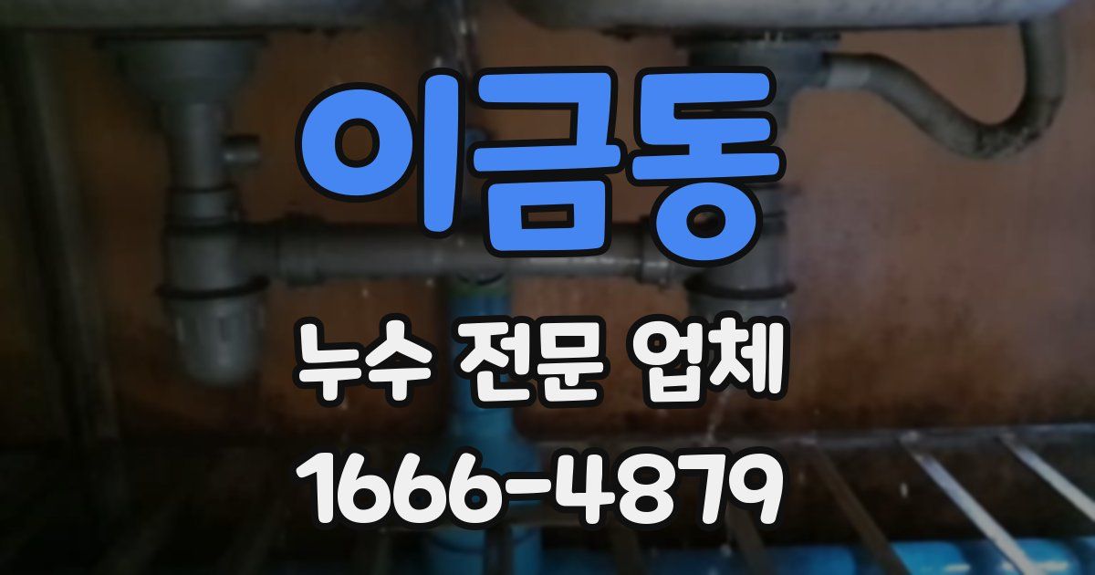 이금동 누수 전문 업체