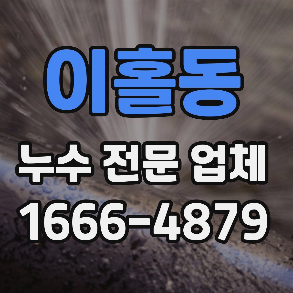 이홀동 누수 전문 업체