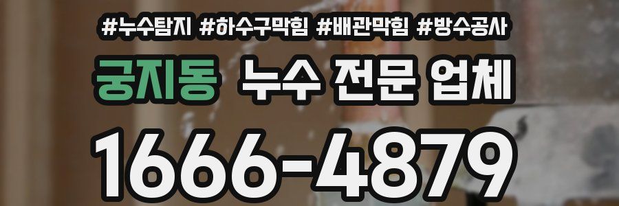 궁지동 누수 전문 업체