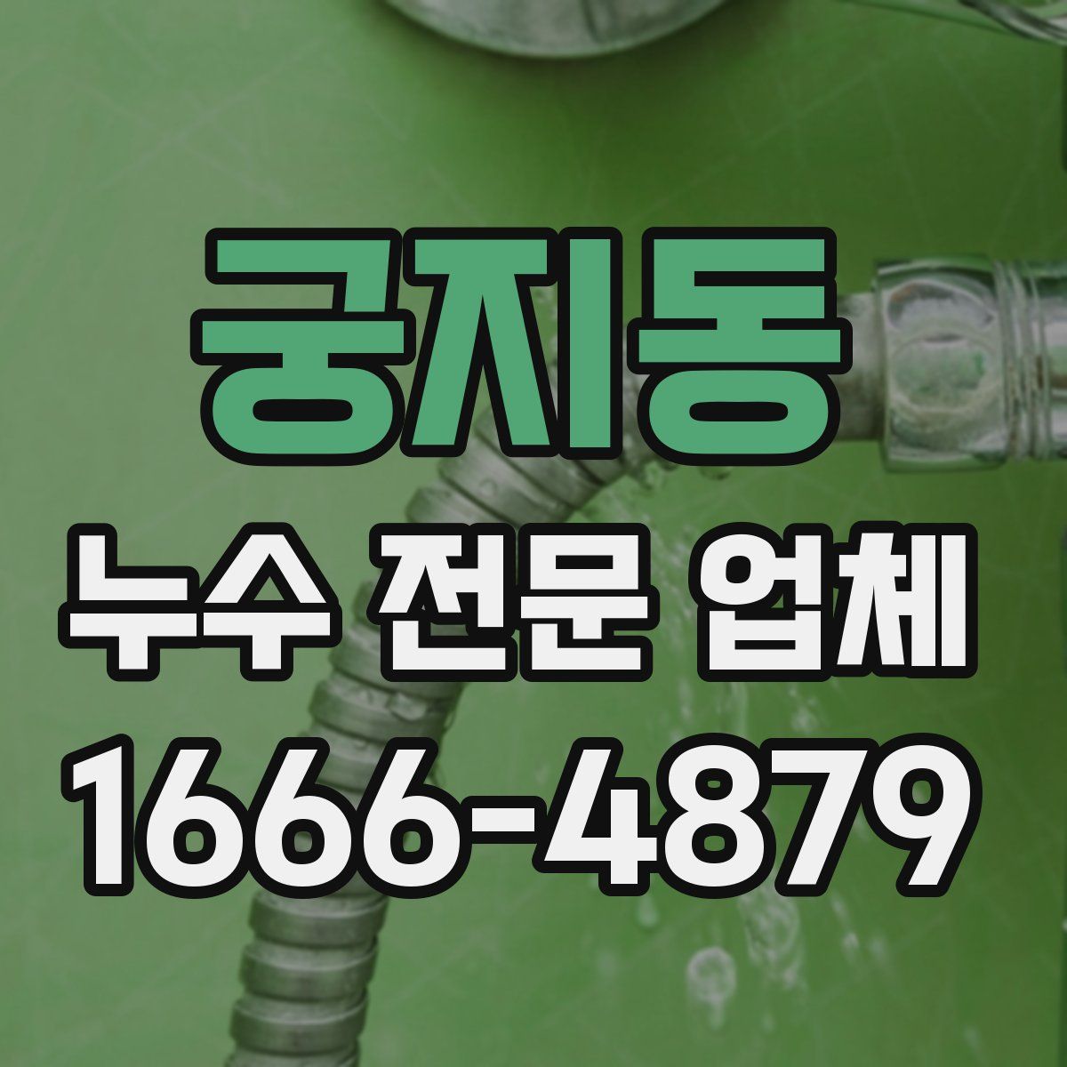 궁지동 누수 전문 업체