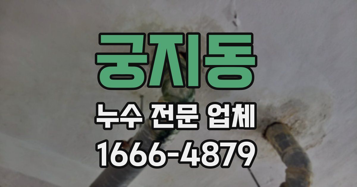궁지동 누수 전문 업체