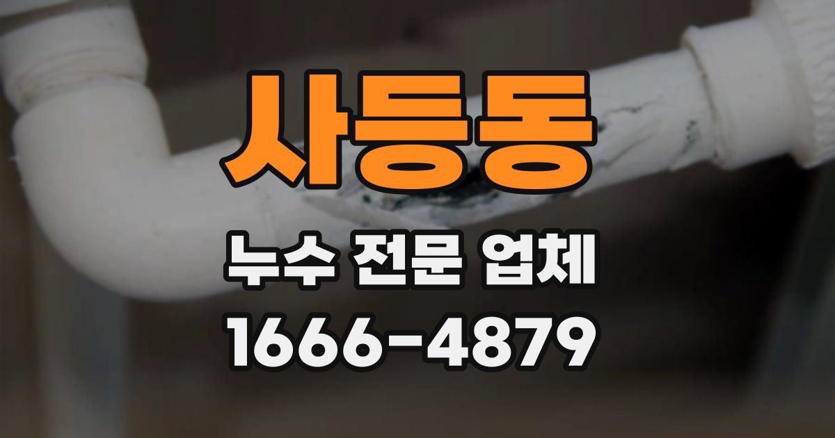사등동 누수 전문 업체