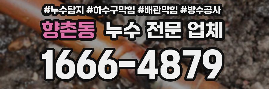 향촌동 누수 전문 업체