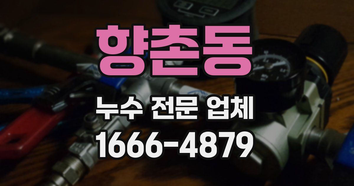 향촌동 누수 전문 업체