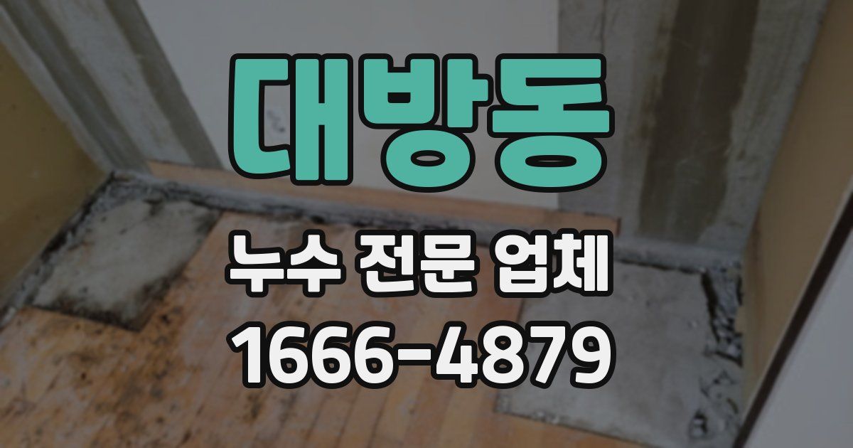 대방동 누수 전문 업체