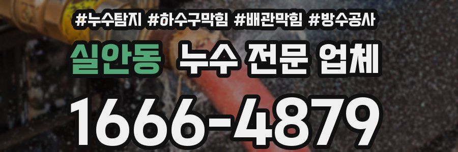 실안동 누수 전문 업체