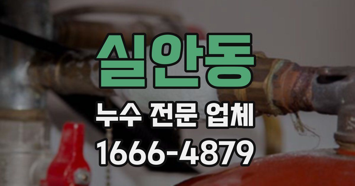 실안동 누수 전문 업체