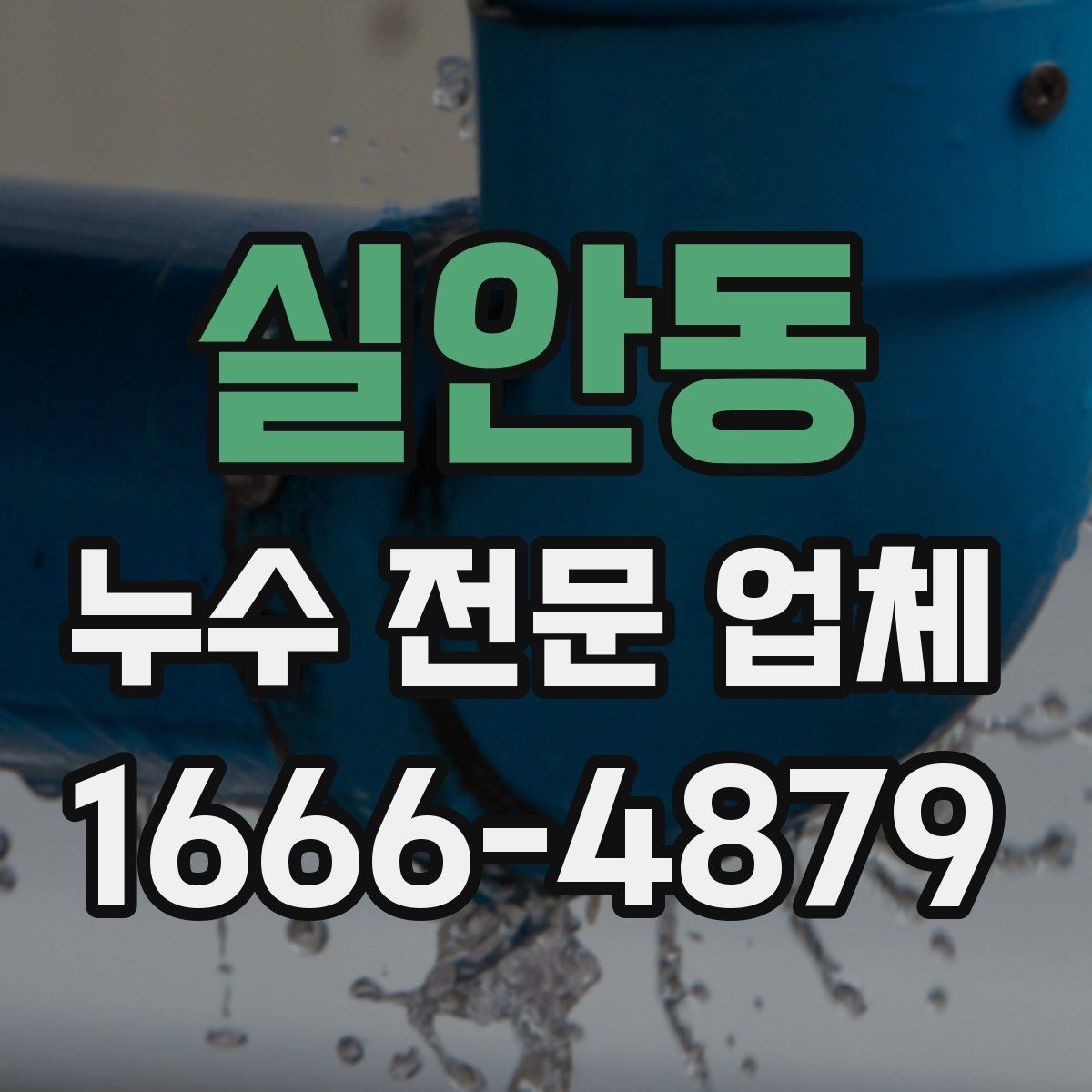 실안동 누수 전문 업체