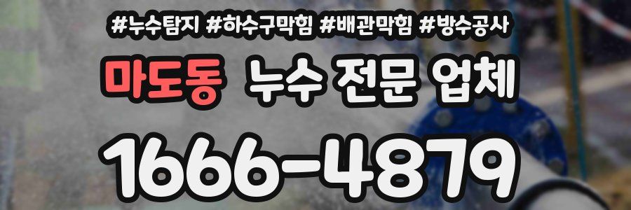 마도동 누수 전문 업체