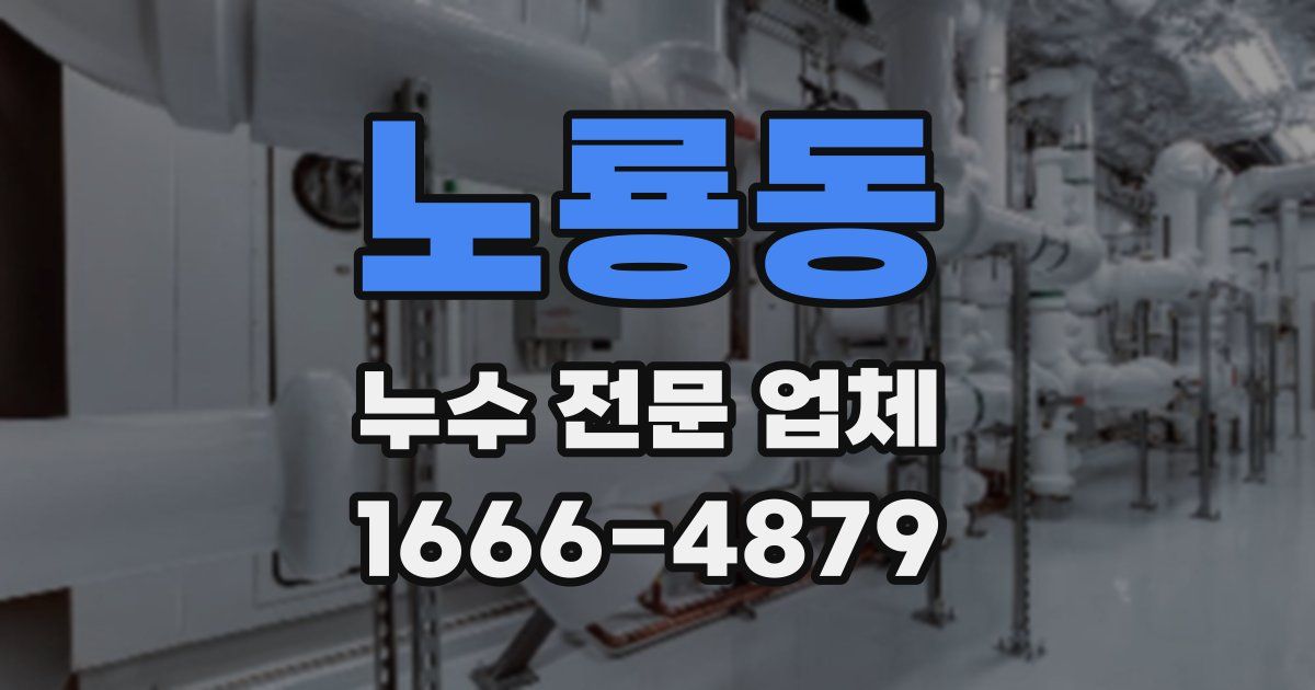 노룡동 누수 전문 업체