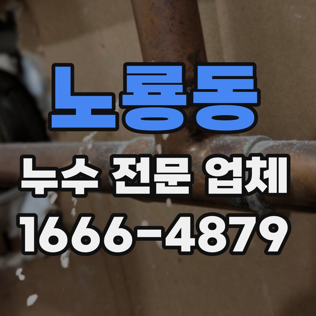 노룡동 누수 전문 업체