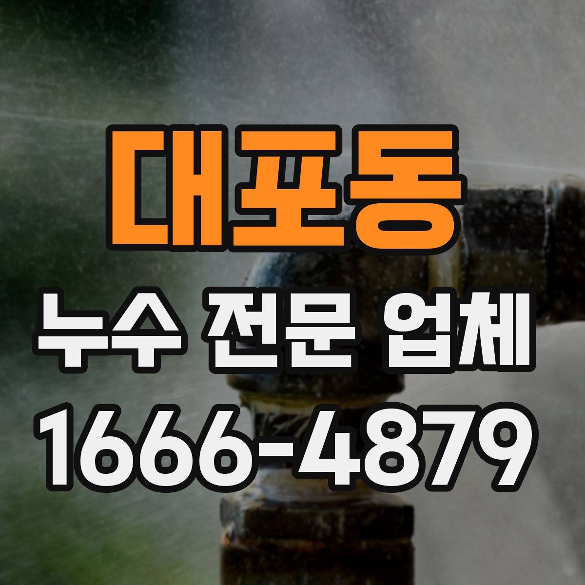 대포동 누수 전문 업체