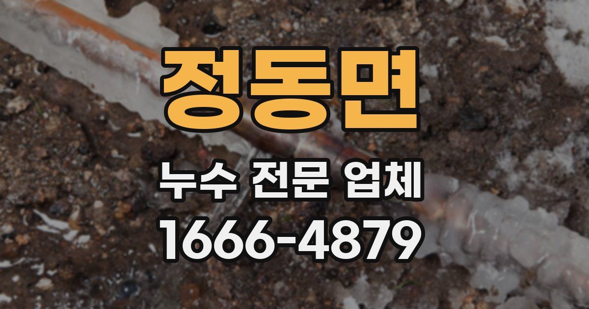 정동면 누수 전문 업체