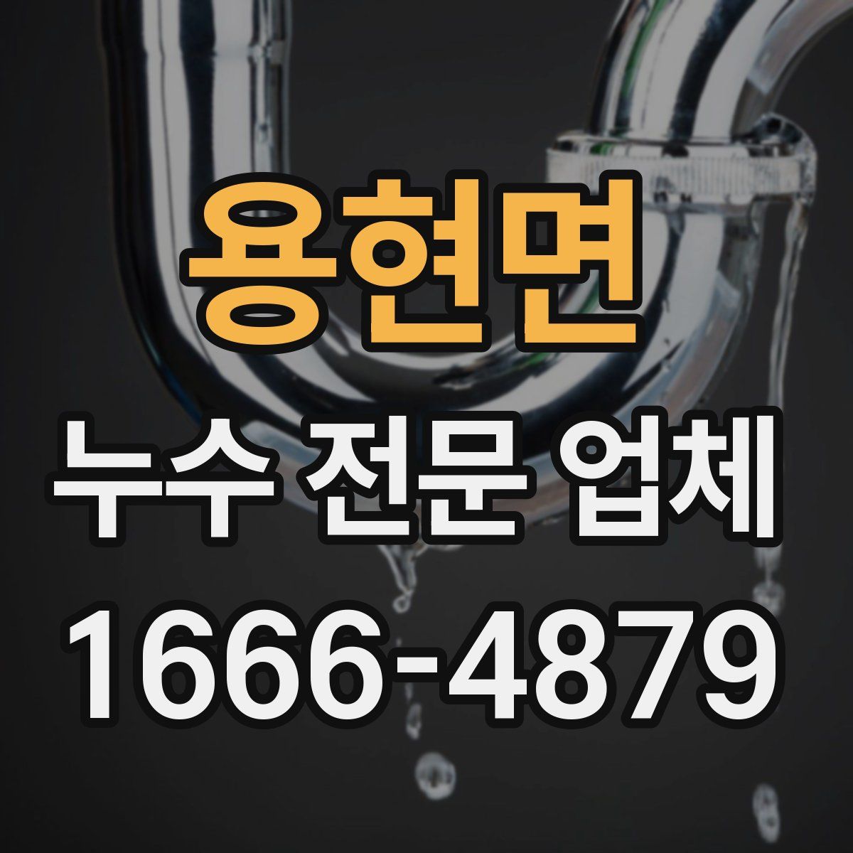 용현면 누수 전문 업체