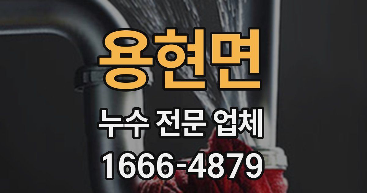용현면 누수 전문 업체