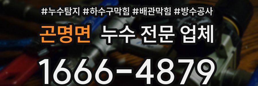 곤명면 누수 전문 업체