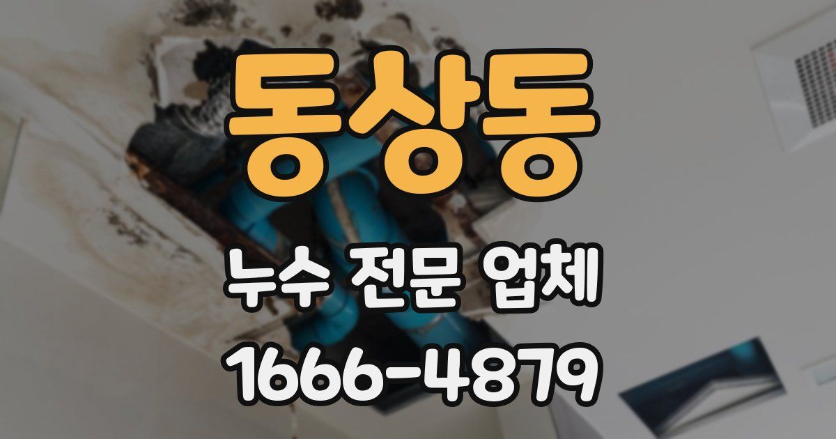 동상동 누수 전문 업체