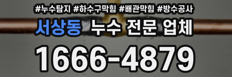 서상동 누수 전문 업체