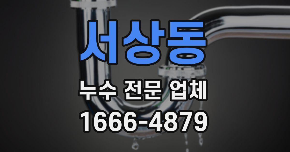 서상동 누수 전문 업체