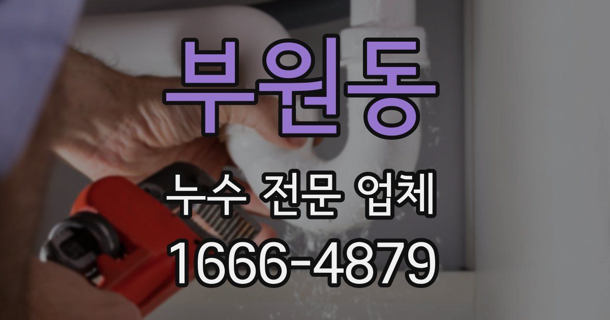 부원동 누수 전문 업체