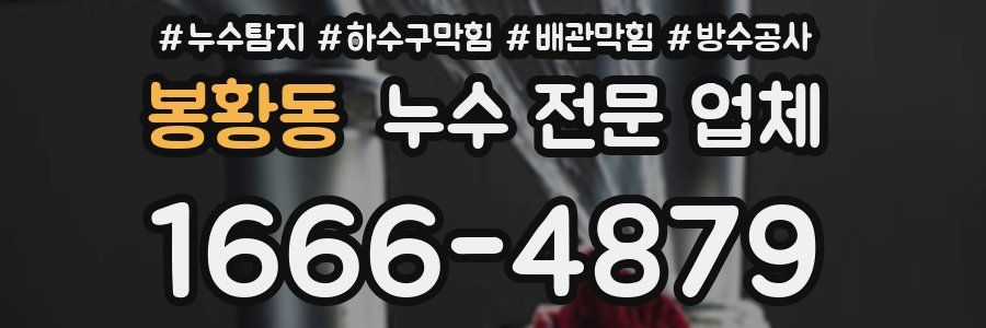 봉황동 누수 전문 업체