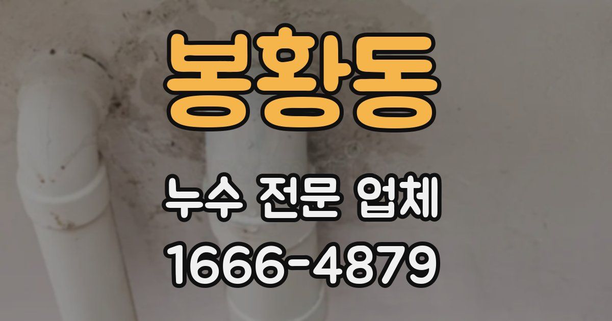 봉황동 누수 전문 업체
