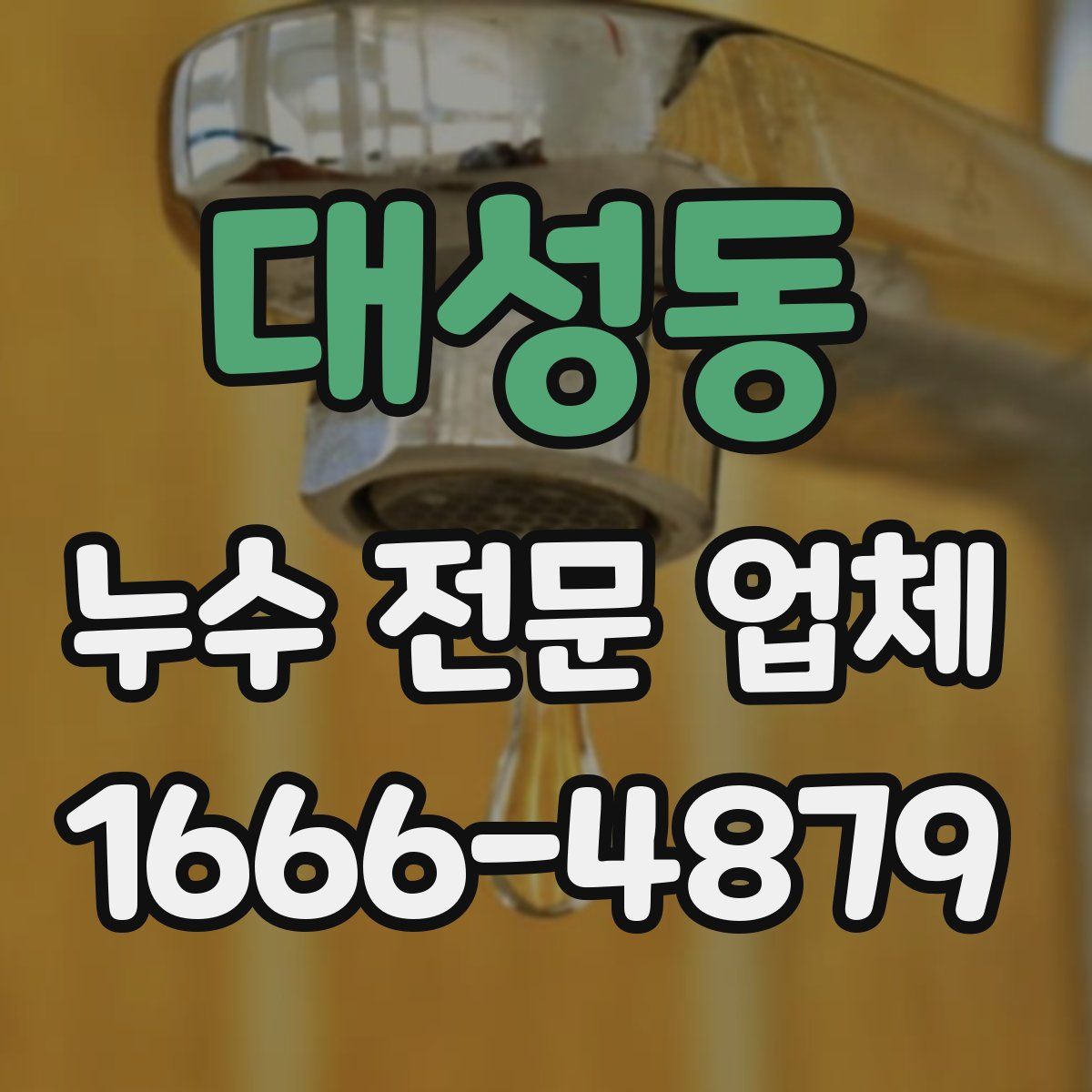 대성동 누수 전문 업체