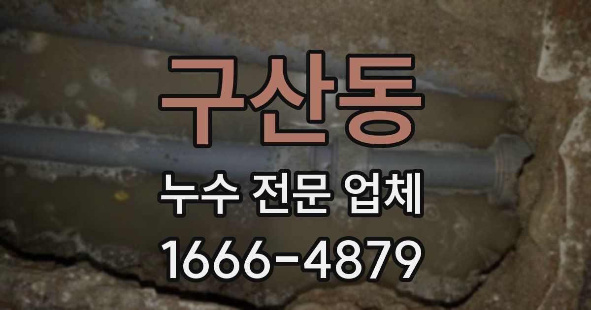 구산동 누수 전문 업체