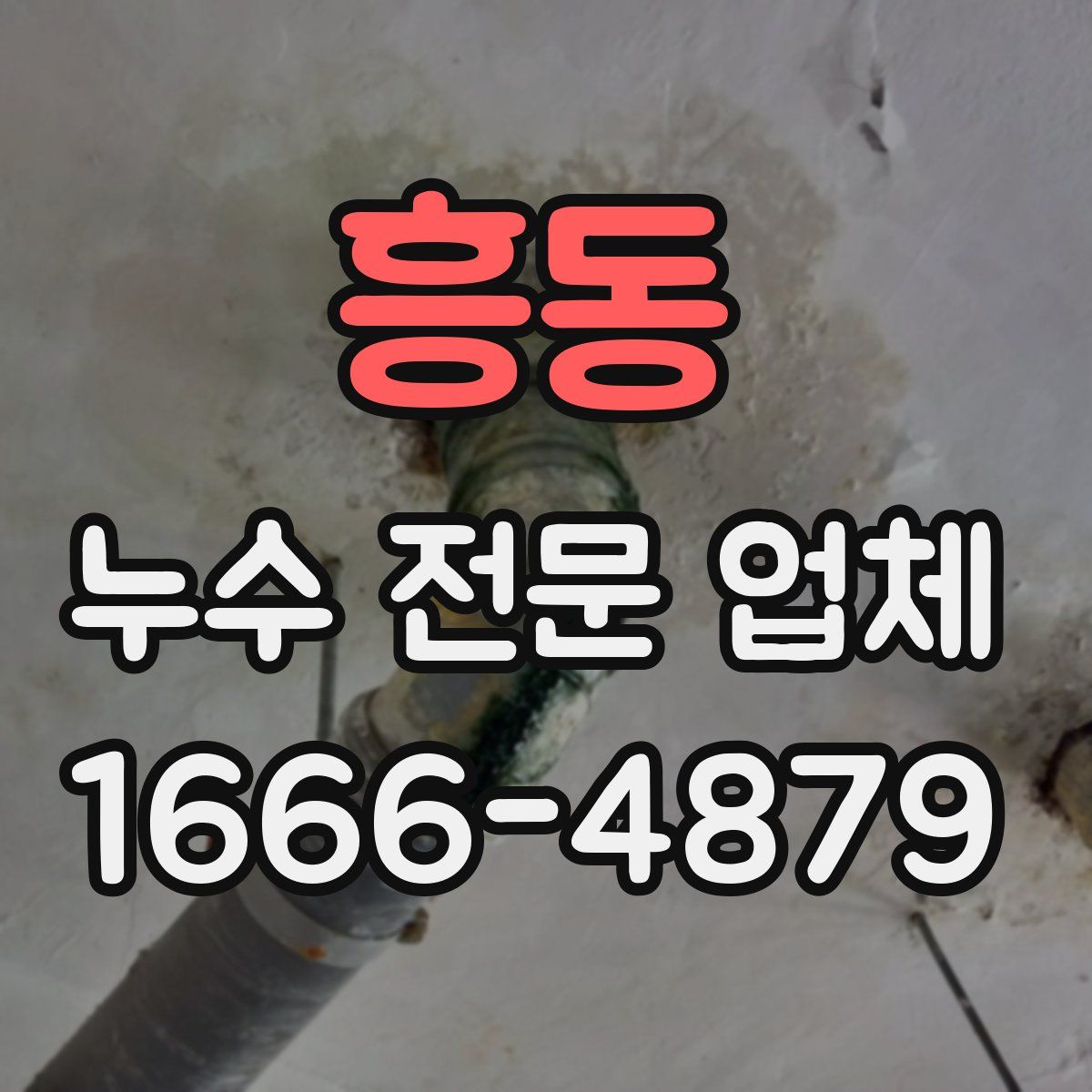 흥동 누수 전문 업체