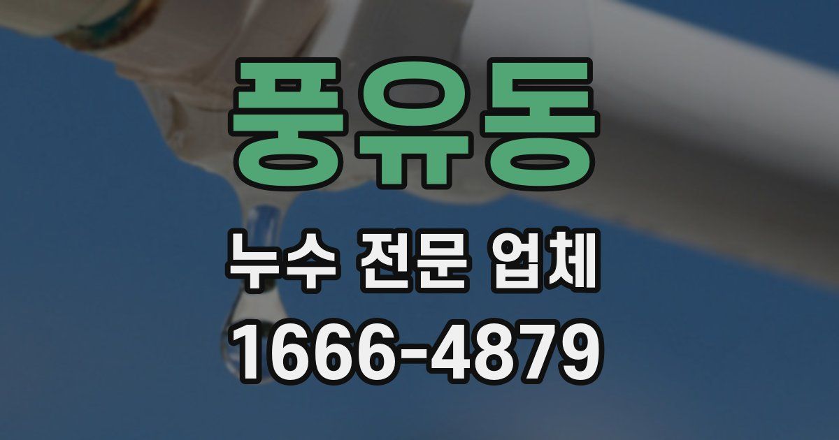 풍유동 누수 전문 업체