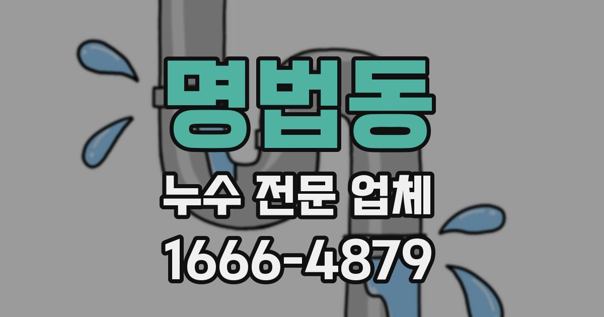 명법동 누수 전문 업체