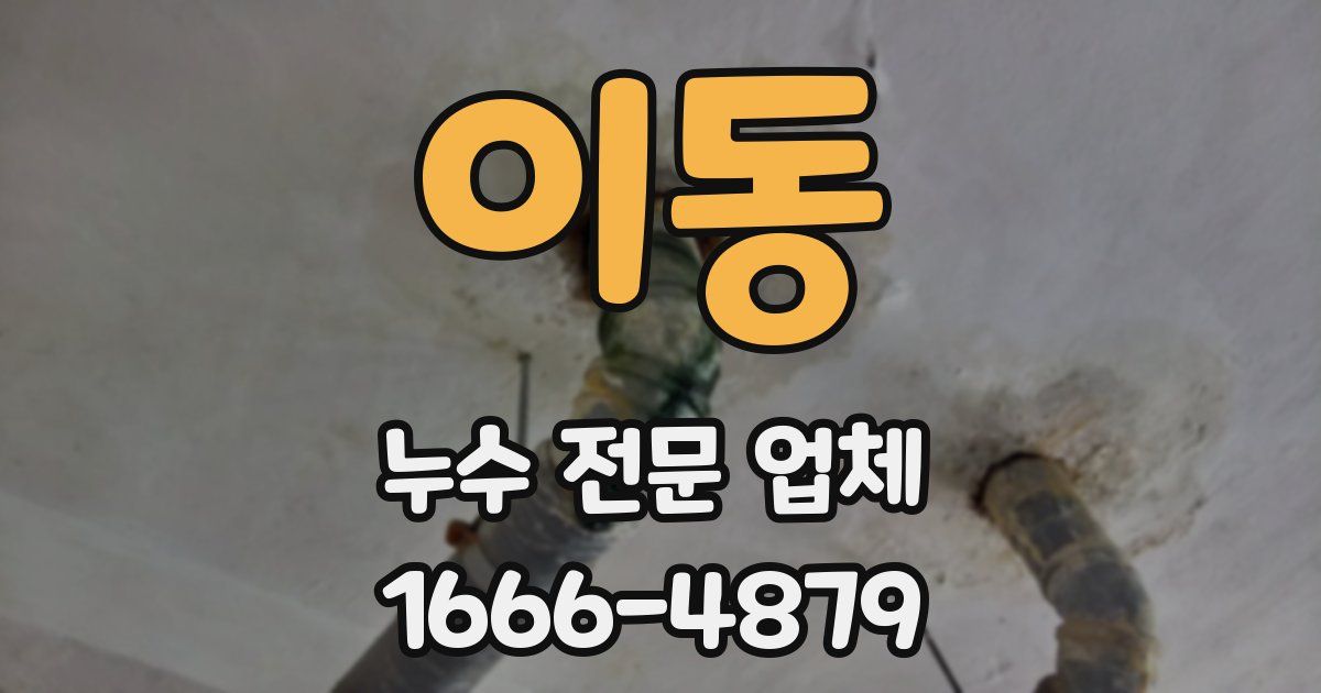 이동 누수 전문 업체