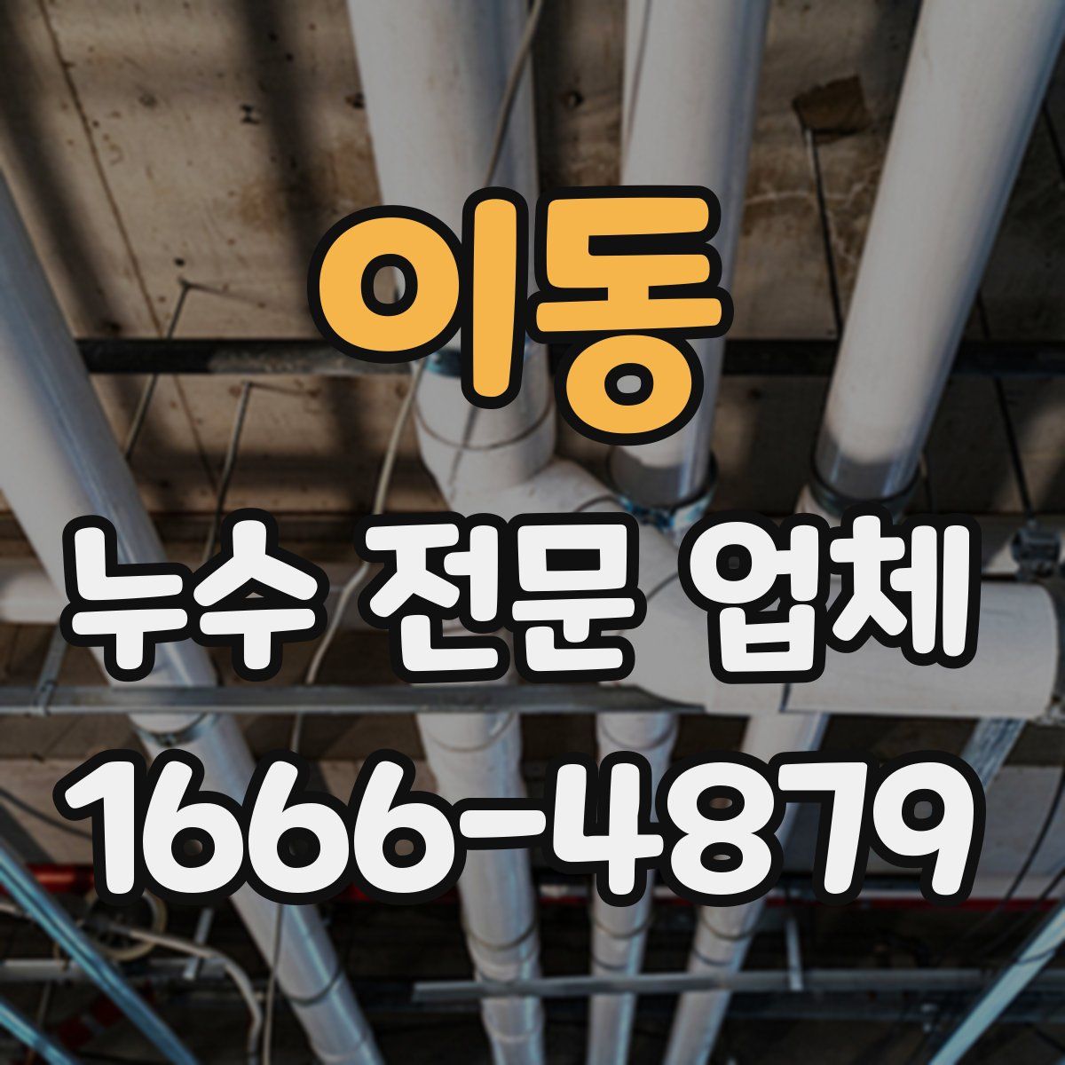 이동 누수 전문 업체