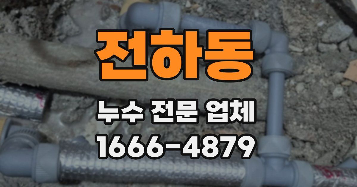 전하동 누수 전문 업체
