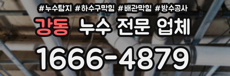 강동 누수 전문 업체
