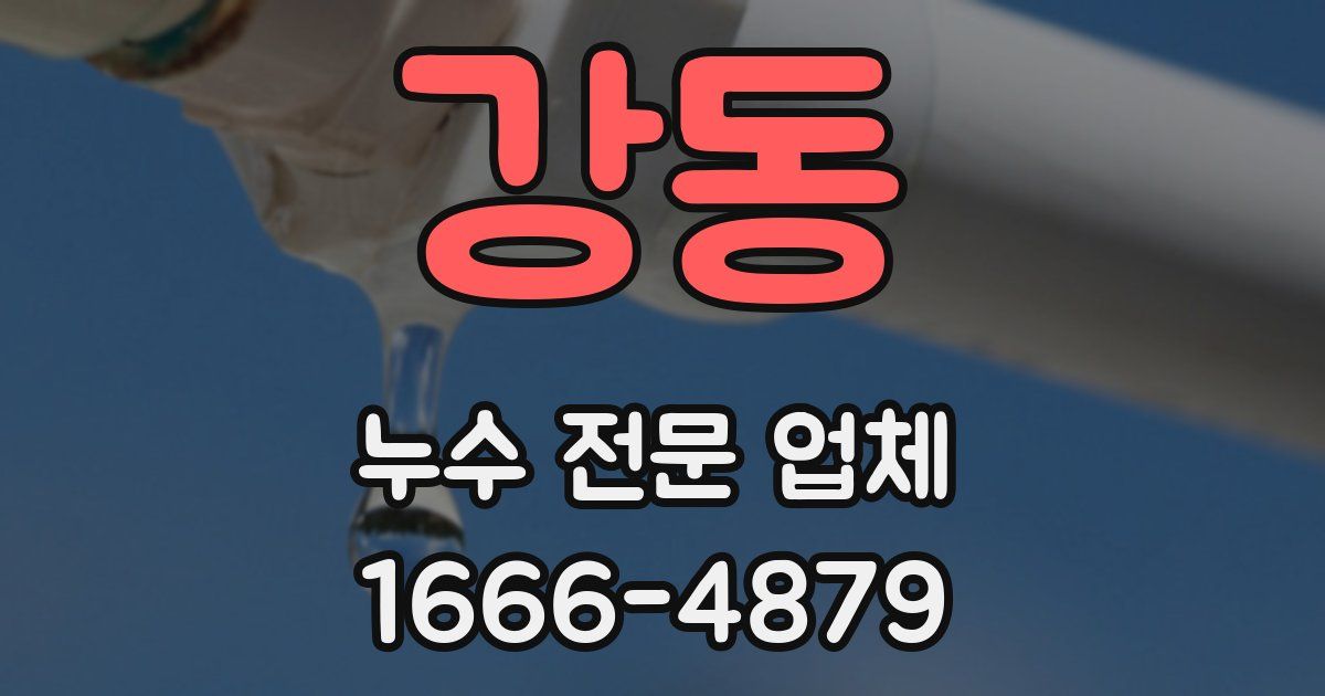강동 누수 전문 업체