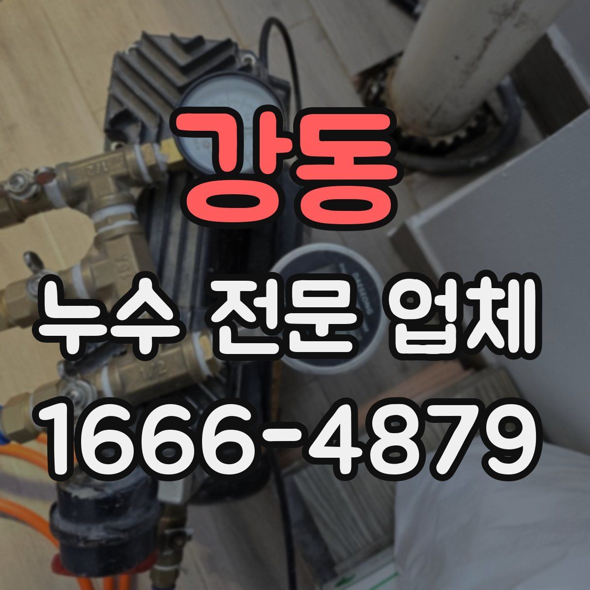 강동 누수 전문 업체