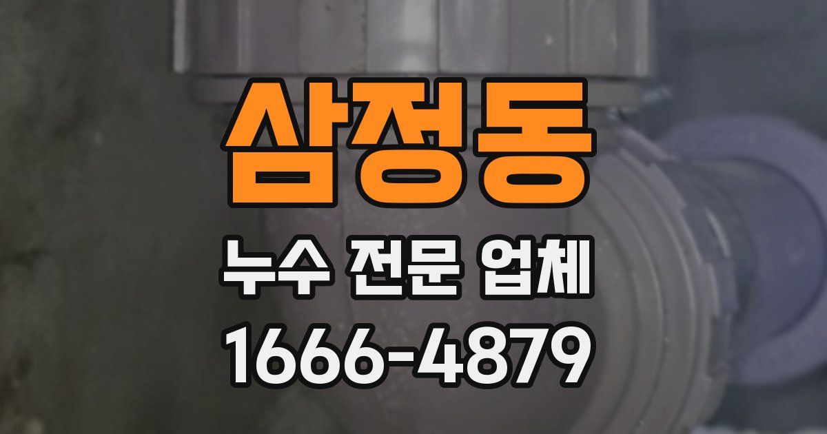 삼정동 누수 전문 업체
