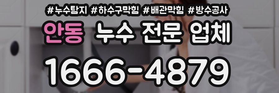 안동 누수 전문 업체