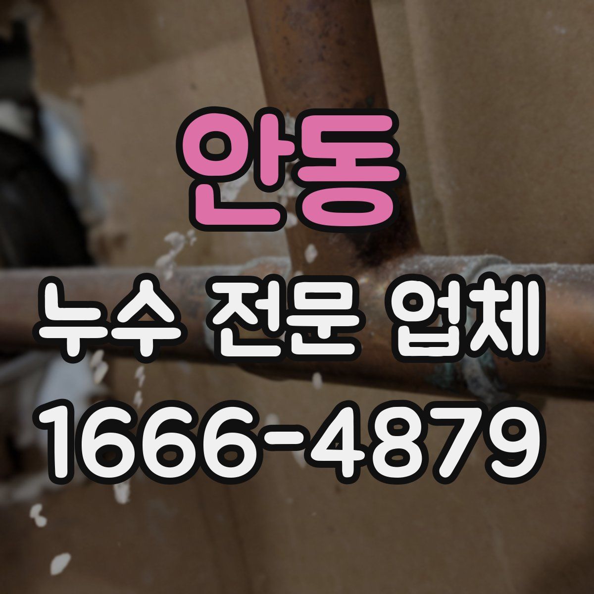 안동 누수 전문 업체