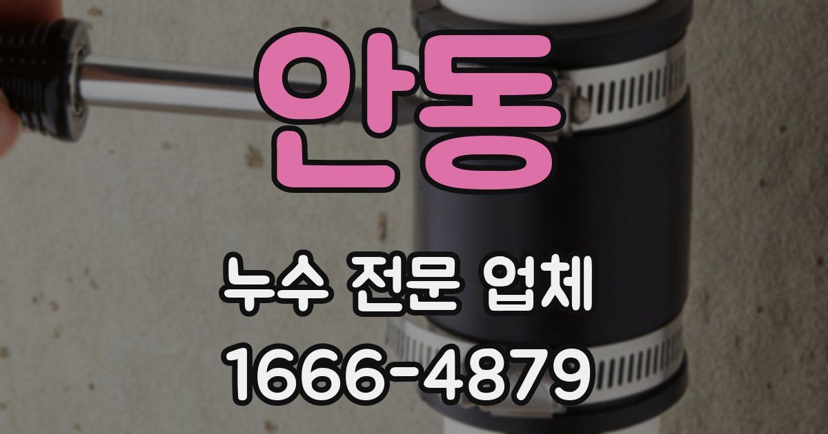 안동 누수 전문 업체
