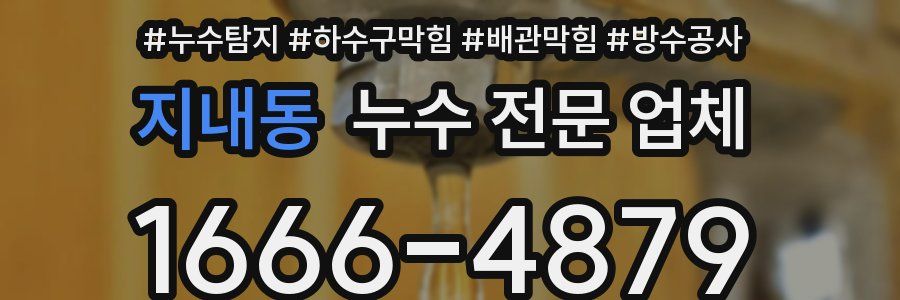 지내동 누수 전문 업체