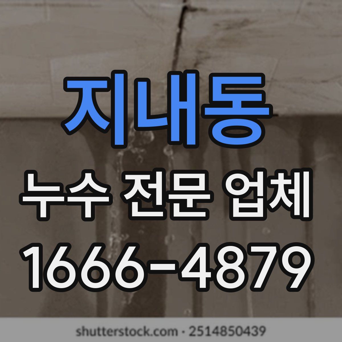 지내동 누수 전문 업체