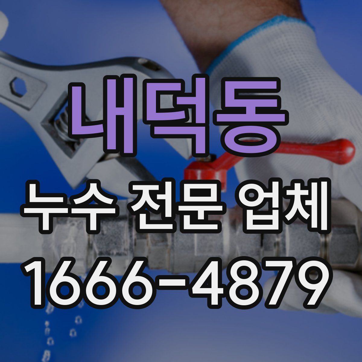 내덕동 누수 전문 업체