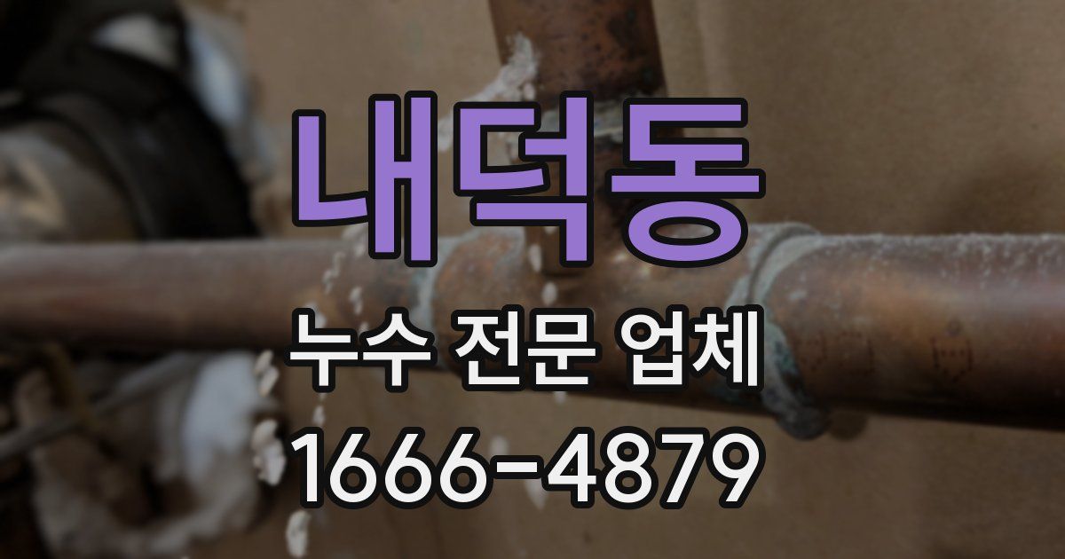 내덕동 누수 전문 업체