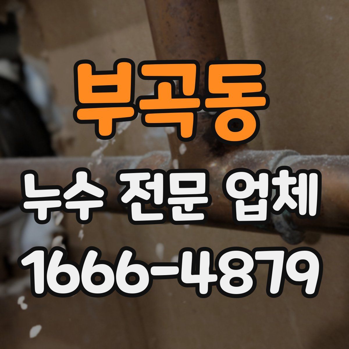 부곡동 누수 전문 업체