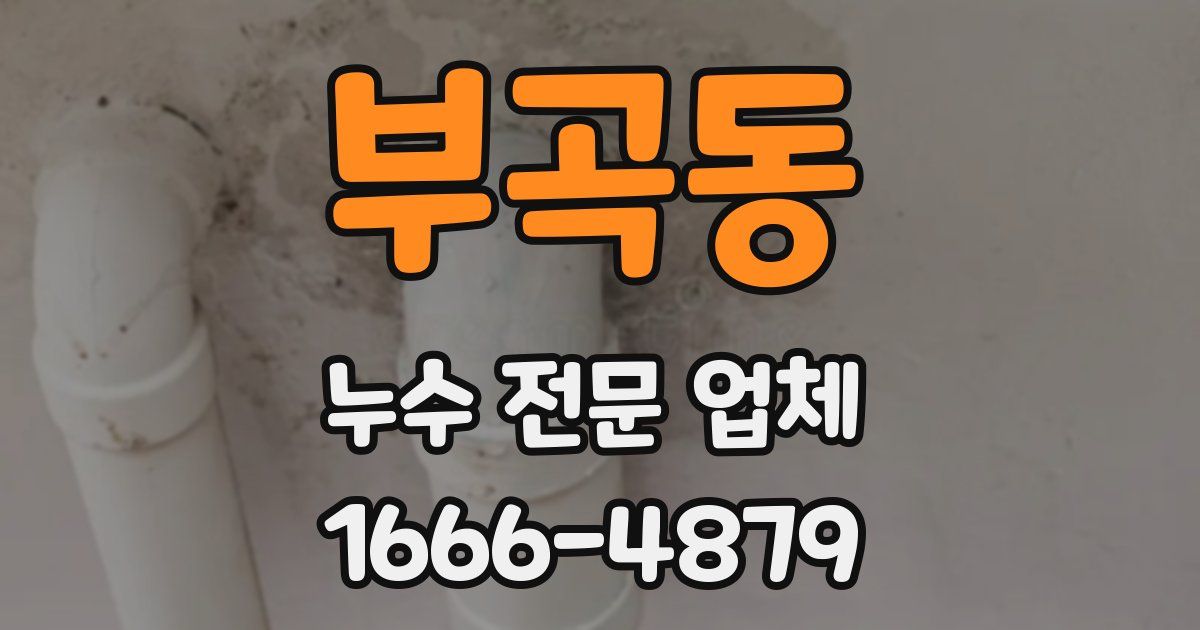부곡동 누수 전문 업체