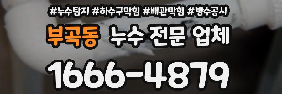 부곡동 누수 전문 업체