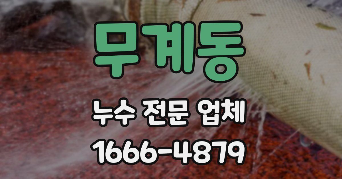 무계동 누수 전문 업체
