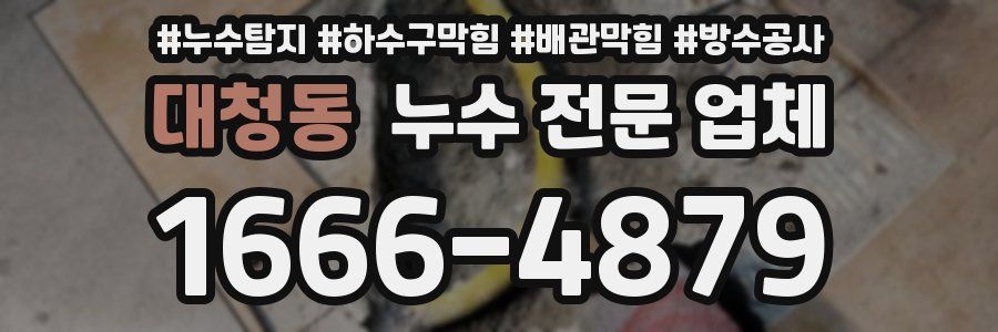 대청동 누수 전문 업체